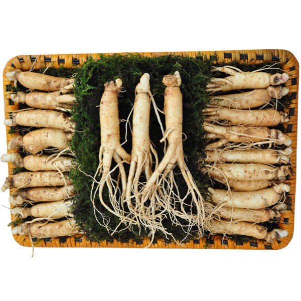 Nhân sâm tươi Hàn Quốc loại 20 - 40 củ 1 kg