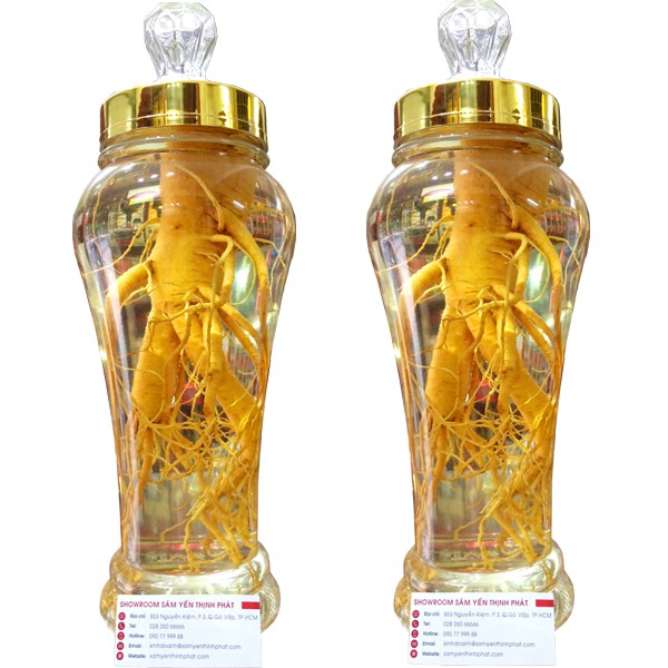 Bình Ngâm Nhân Sâm Hàn Quốc 2,4 Lít 1 Củ Lớn