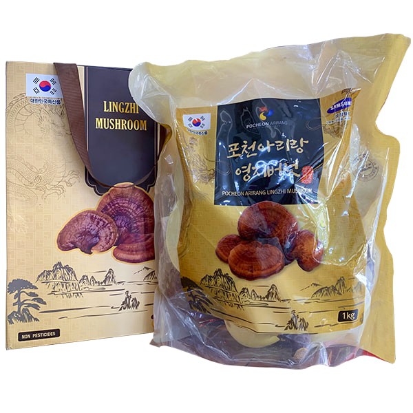 Nấm linh chi Hàn Quốc Pocheon 1kg