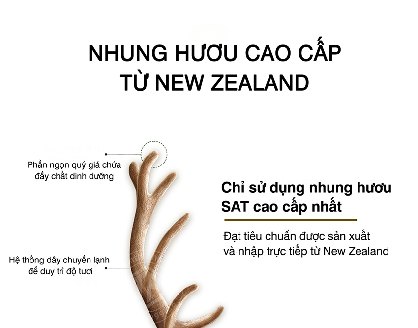 Nhung hươu cao cấp từ New Zealand Nhung hươu cao cấp từ New Zealand