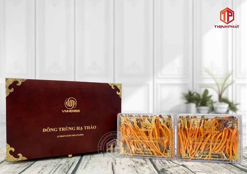 Con đông trùng hạ thảo ký chủ Việt Nam hộp 80 con Con đông trùng hạ thảo ký chủ Việt Nam hộp 80 con