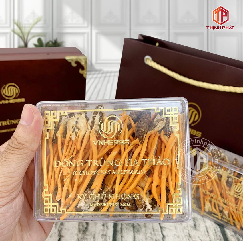 Con đông trùng hạ thảo ký chủ Việt Nam hộp 80 con Con đông trùng hạ thảo ký chủ Việt Nam hộp 80 con