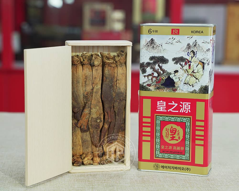 Hồng sâm củ khô hộp thiếc HG Bio 300g 10 củ Chính hãng Hàn Quốc Hồng sâm củ khô hộp thiếc HG Bio 300g 10 củ Chính hãng Hàn Quốc
