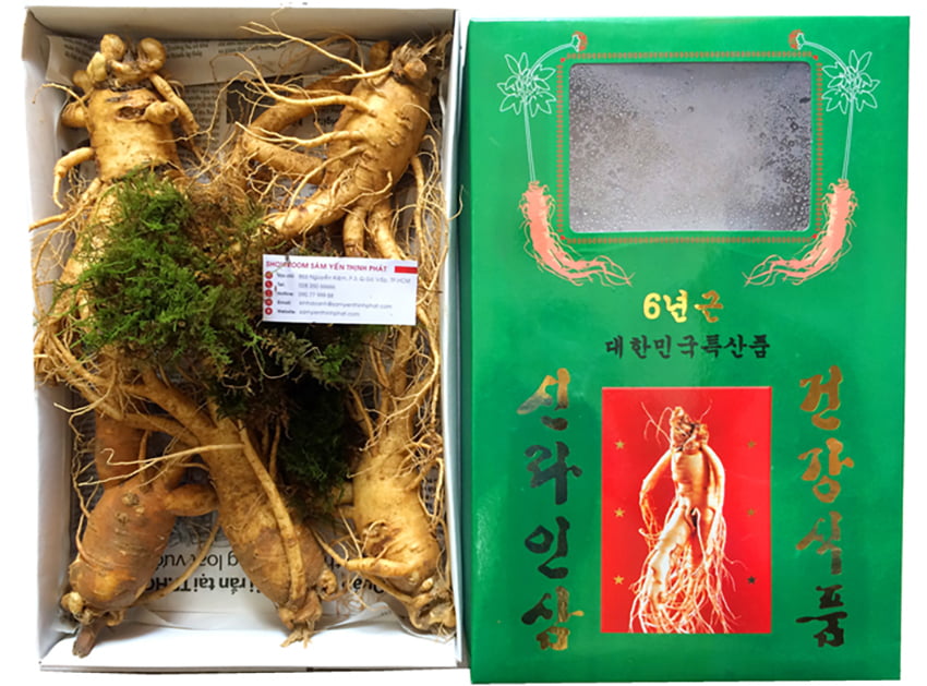 Nhân sâm tươi Hàn Quốc loại 5 củ 1 kg Nhân sâm tươi Hàn Quốc loại 5 củ 1 kg
