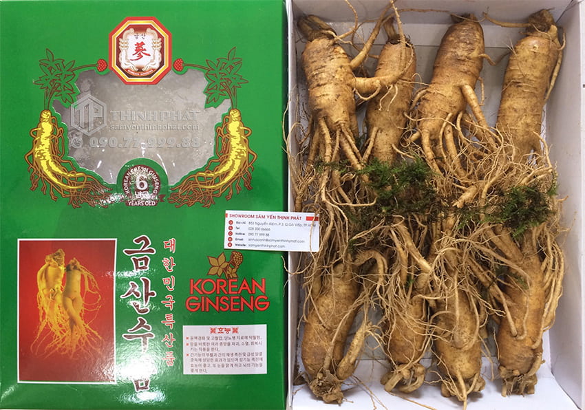 Nhân sâm tươi Hàn Quốc loại 8 củ 1 kg Nhân sâm tươi Hàn Quốc loại 8 củ 1 kg