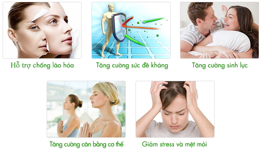 Nước hồng sâm linh chi táo đỏ Hàn Quốc hộp 30 gói x 80ml Nước hồng sâm linh chi táo đỏ Hàn Quốc hộp 30 gói x 80ml