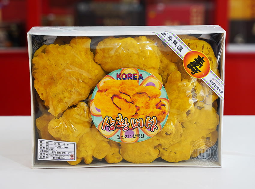 Nấm Thượng Hoàng Hàn Quốc 365 mẫu hộp quà tặng 1kg Nấm Thượng Hoàng Hàn Quốc 365 mẫu hộp quà tặng 1kg