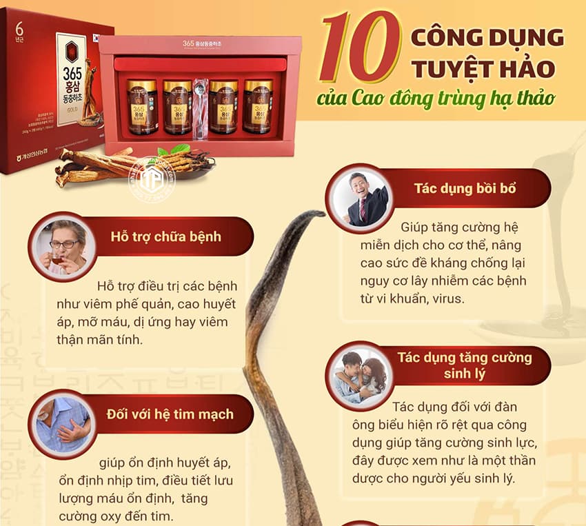 10 công dụng tuyệt hảo của cao đông trùng hạ thảo 10 công dụng tuyệt hảo của cao đông trùng hạ thảo
