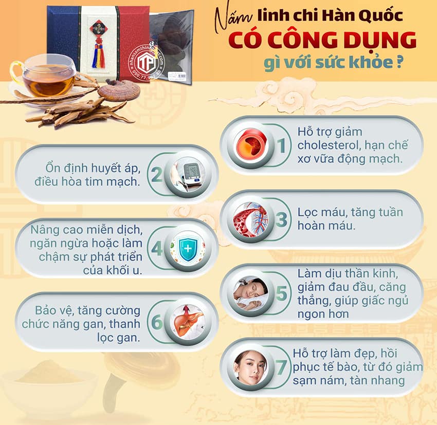 Nấm Linh Chi Hàn Quốc Có Công Dụng Gì Đối Với Sức Khỏe?