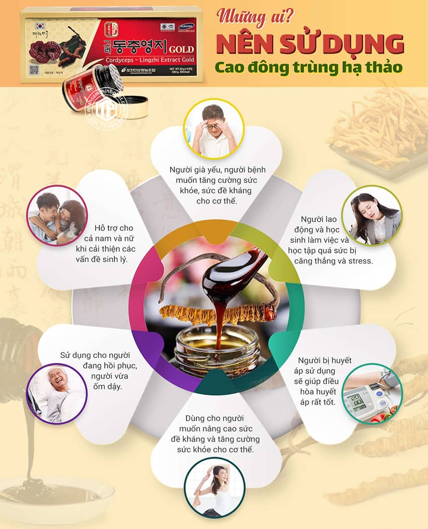Những ai nên sử dụng cao đông trùng hạ thảo Những ai nên sử dụng cao đông trùng hạ thảo