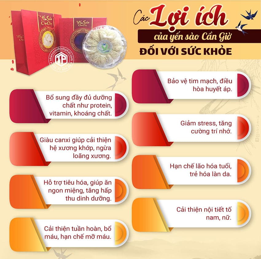 Các Lợi Ích Của Yến Sào Cần Giờ Đối Với Sức Khỏe