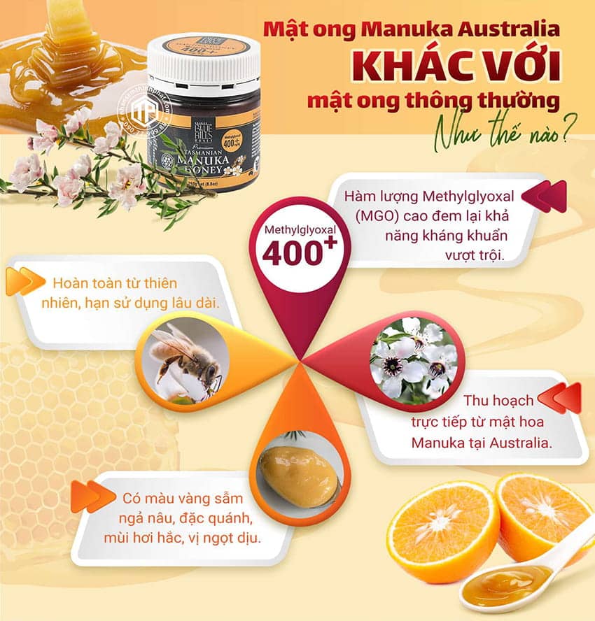 Mật ong Manuka khác mật ong thường như thế nào? Mật ong Manuka khác mật ong thường như thế nào?