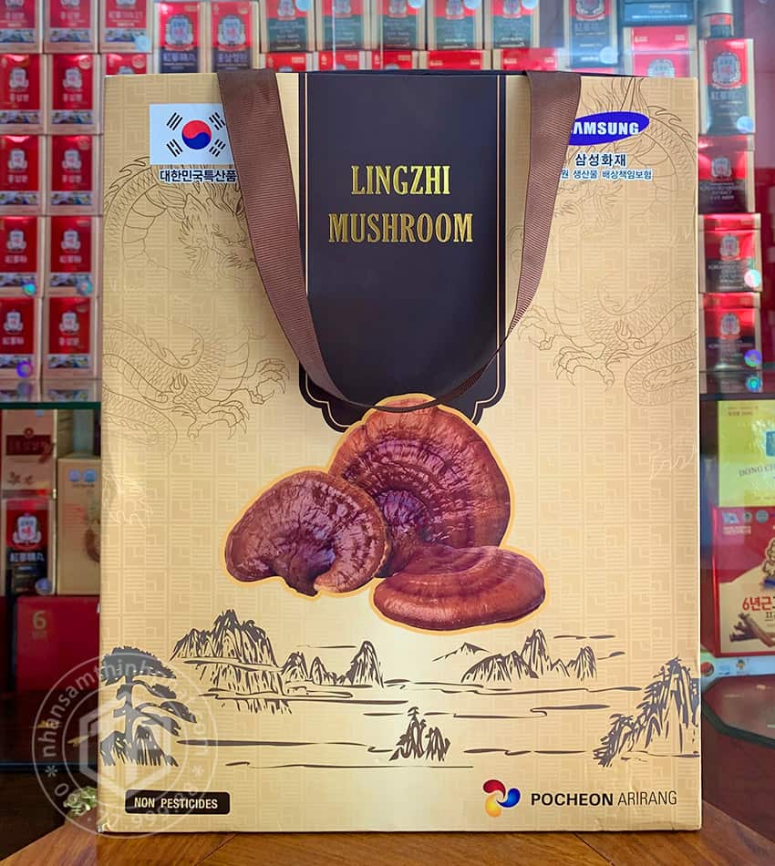 Nấm linh chi Hàn Quốc Pocheon 1kg Nấm linh chi Hàn Quốc Pocheon 1kg