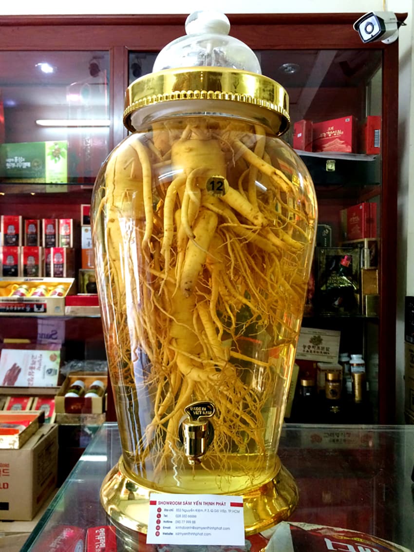 Bình Ngâm Nhân Sâm Hàn Quốc 12 Lít 5 Củ Bình Ngâm Nhân Sâm Hàn Quốc 12 Lít 5 Củ