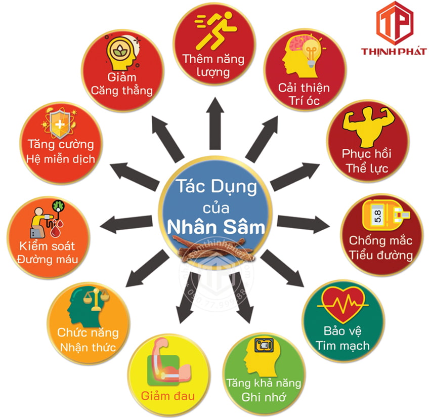 Tác dụng của nhân sâm Tác dụng của nhân sâm