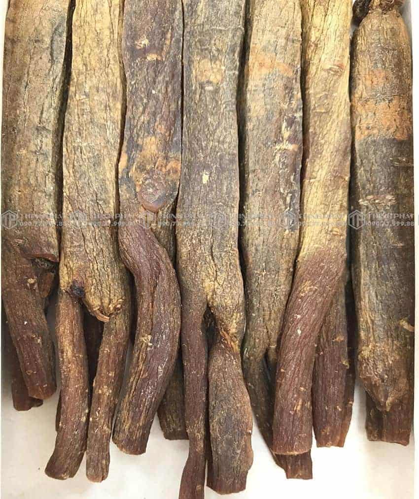 Thiên sâm chính phủ KGC Jung Kwan Jang thượng hạng Heaven 150g 20PCS 7 củ Thiên sâm chính phủ KGC Jung Kwan Jang thượng hạng Heaven 150g 20PCS 7 củ